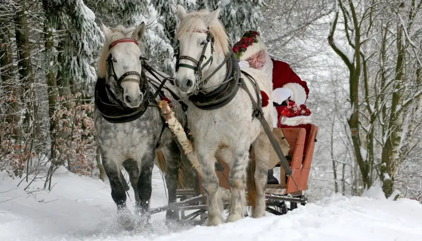 Nikolaus auf dem Pferdeschlitten (Foto: annca, Pixabay)